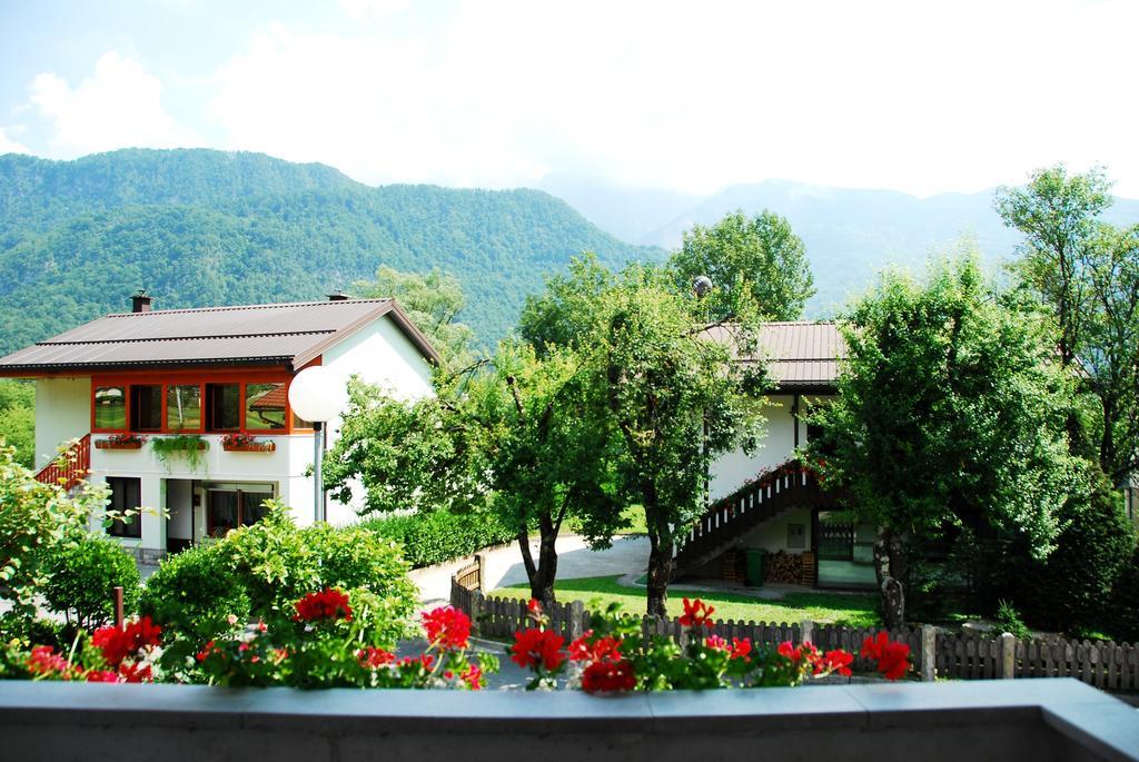 Budget Homestay 科巴里德 客房 照片