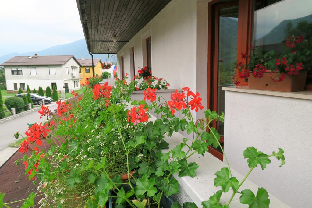 Budget Homestay 科巴里德 外观 照片