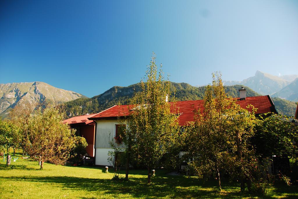 Budget Homestay 科巴里德 外观 照片